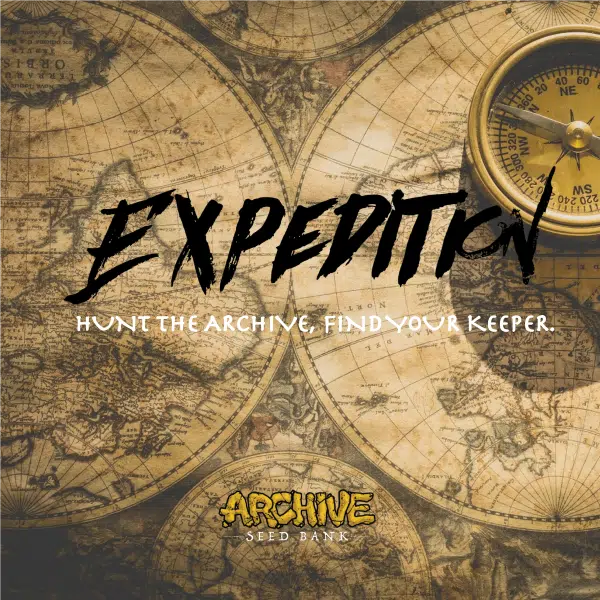 Lemon G x Dosidos #18