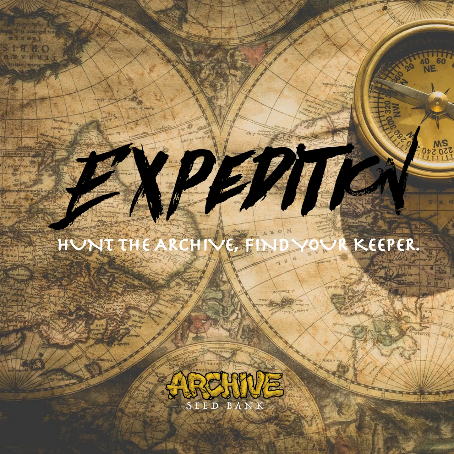 Amnesia x Dosidos #18