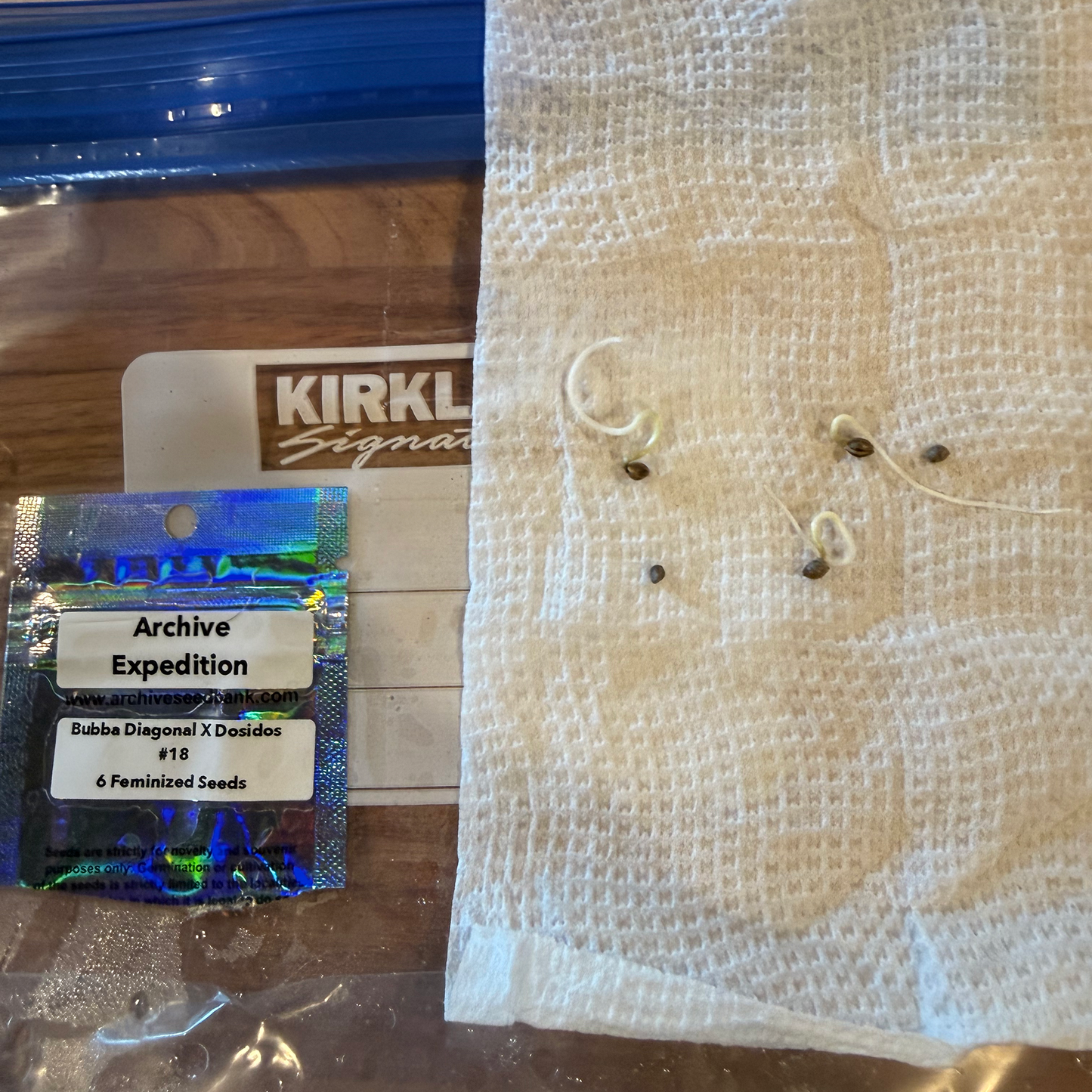 01/02 Bubba Diagonal x Dosidos - Day 9 - #8