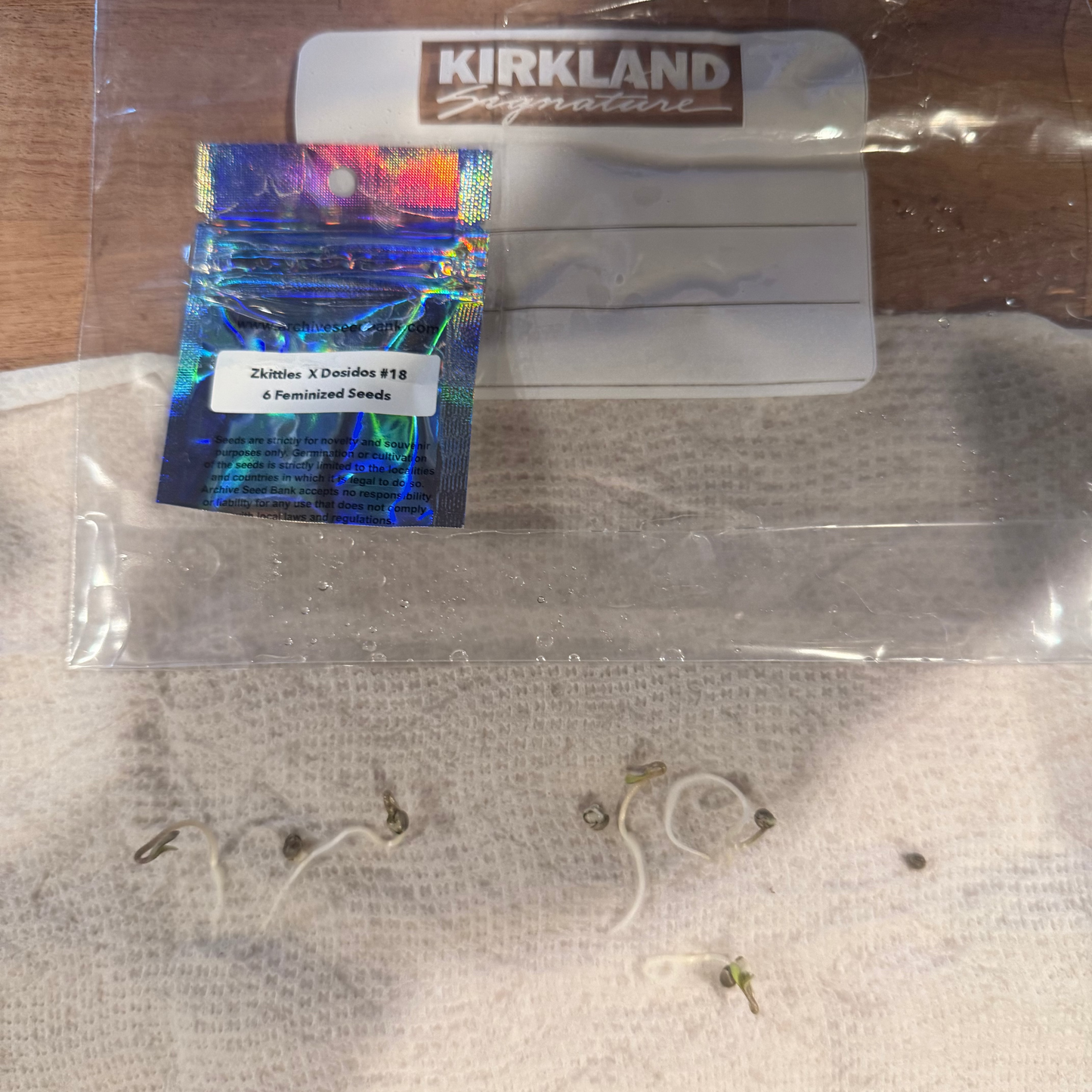 Zkittles x Dosidos