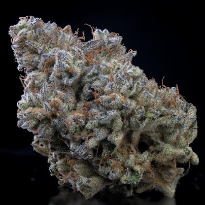 Ichiban – Toad Venom x Oishii