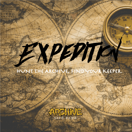 Secret Formula x Dosidos #18
