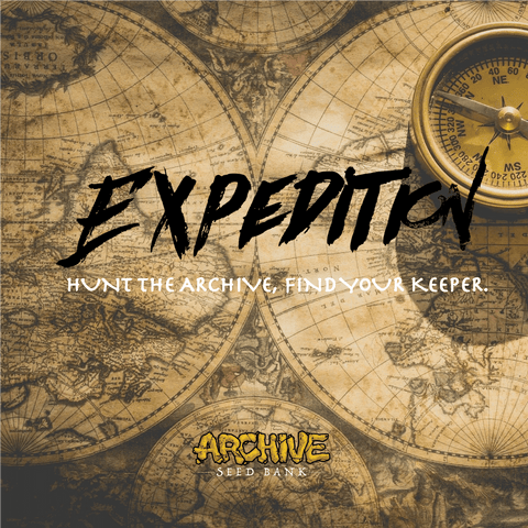 Secret Formula x Dosidos #18