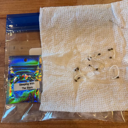 Sleeping with the Stars