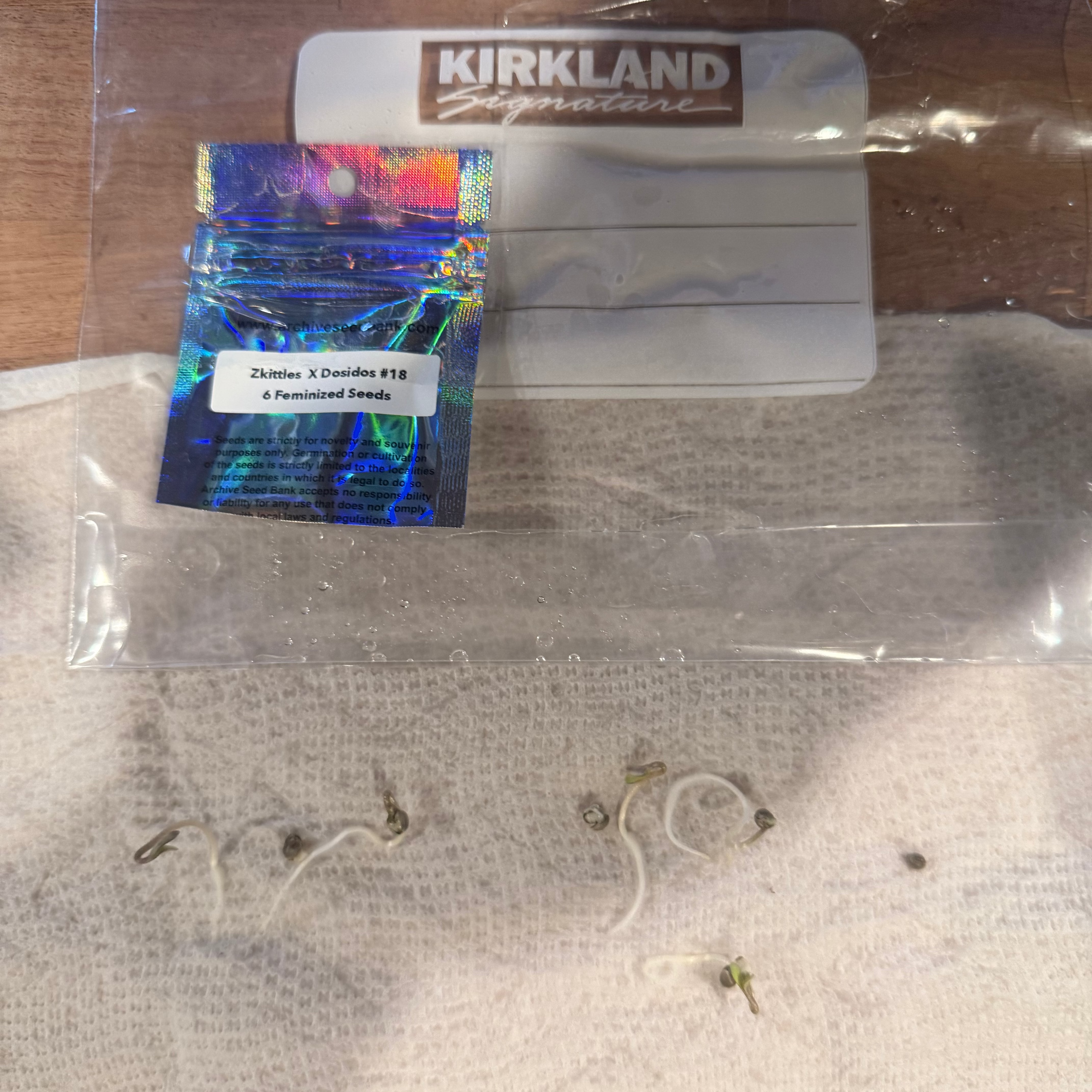 Zkittles x Dosidos – Archive Seed Bank