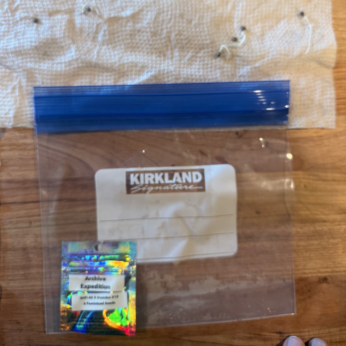 WiFi 43 x Dosidos #18